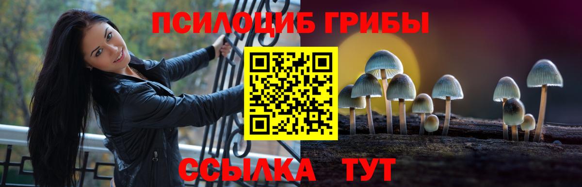 Псилоцибиновые грибы GOLDEN TEACHER  где можно купить наркотик  Ярцево  Вход с VPN 